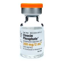   () / CLEOCIN PHOSPHATE (clindamycin)