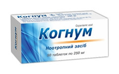  (   ) / KOGNUM (hopantenic acid calcium salt)