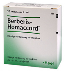 - / BERBERIS-HOMACCORD