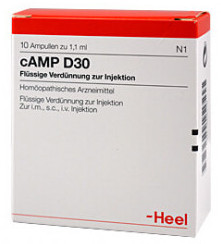  30  / CAMP D30 AMPULLEN