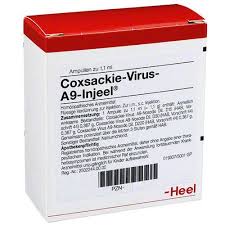   9  / KOXSAKIE VIRUS A9 INJEEL